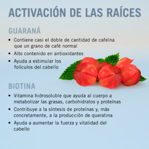 Bonacure_Scalp_ingredientes